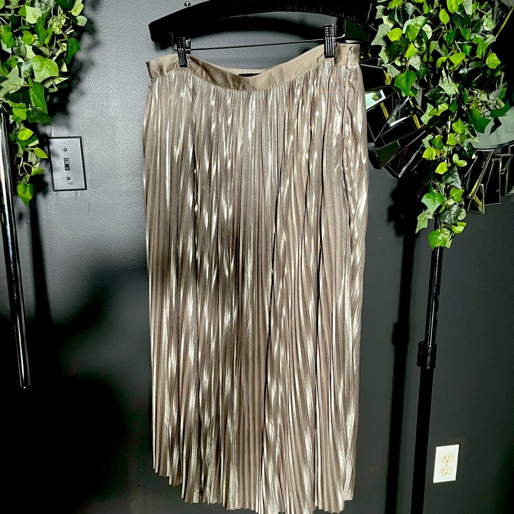 Banana Republic Size 10 Silver Metallic Pleated Skirt